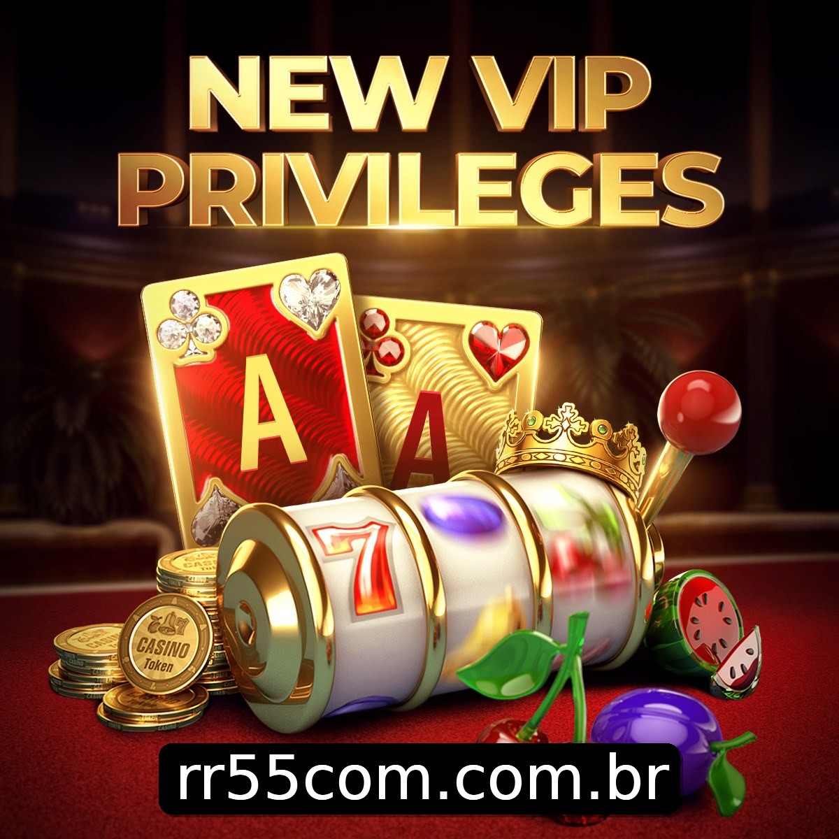 Programa VIP rr55